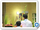IMG_8646